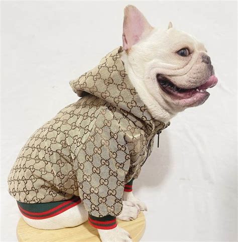 gucci pet clothes|designer dog clothes gucci.